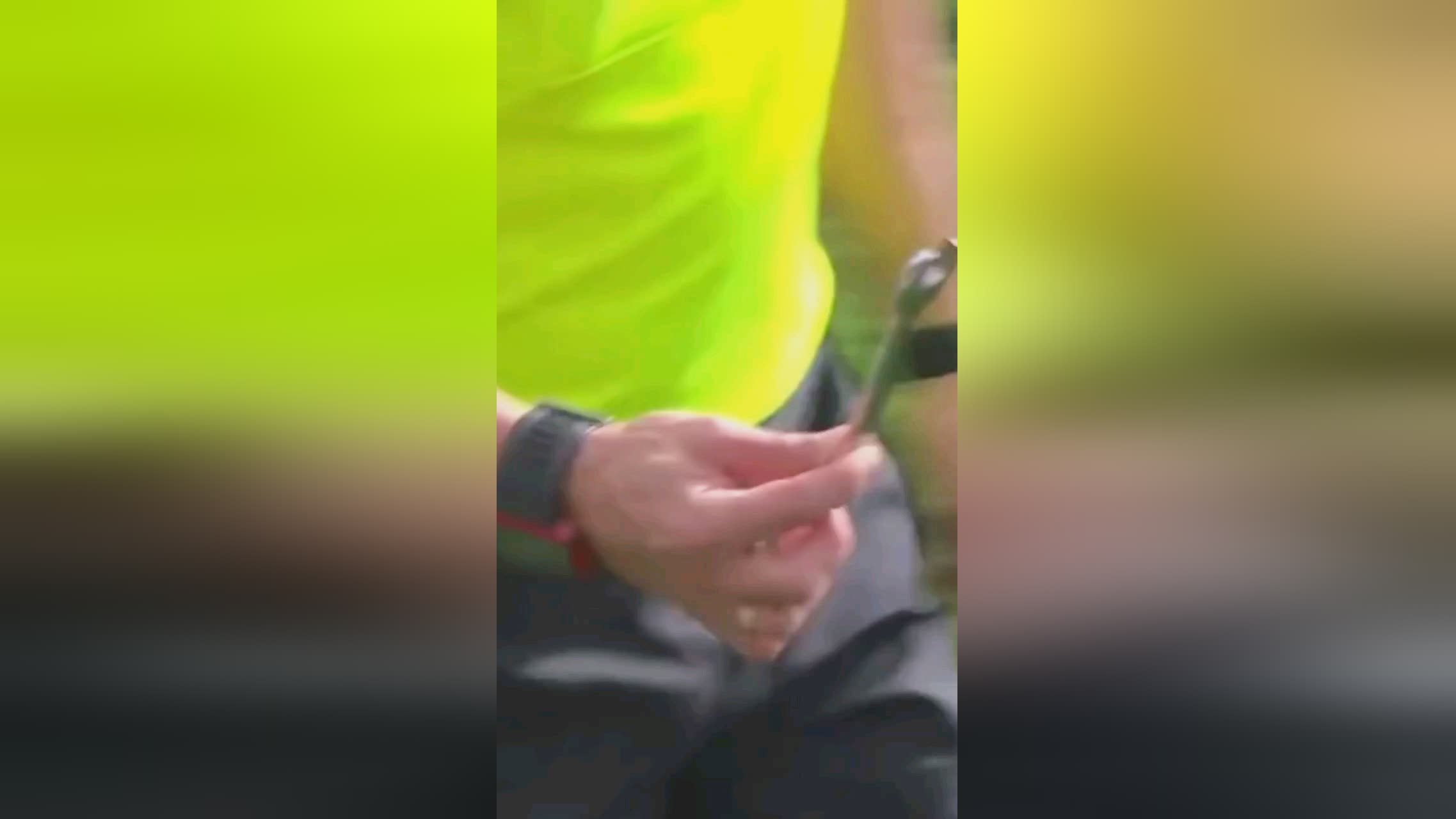 传为球